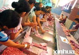 食用農產品價格呈現分化趨勢 豬肉批發價連續兩周下跌，蔬菜價格持續攀升