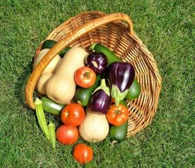 食品安全大于天，源頭把關是關鍵——陜西省市場監(jiān)管局召開食用農(nóng)產(chǎn)品批發(fā)環(huán)節(jié)質(zhì)量安全座談會